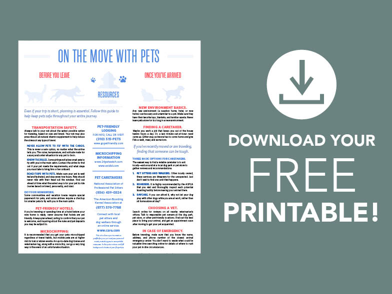 On the Move with Pets Download
