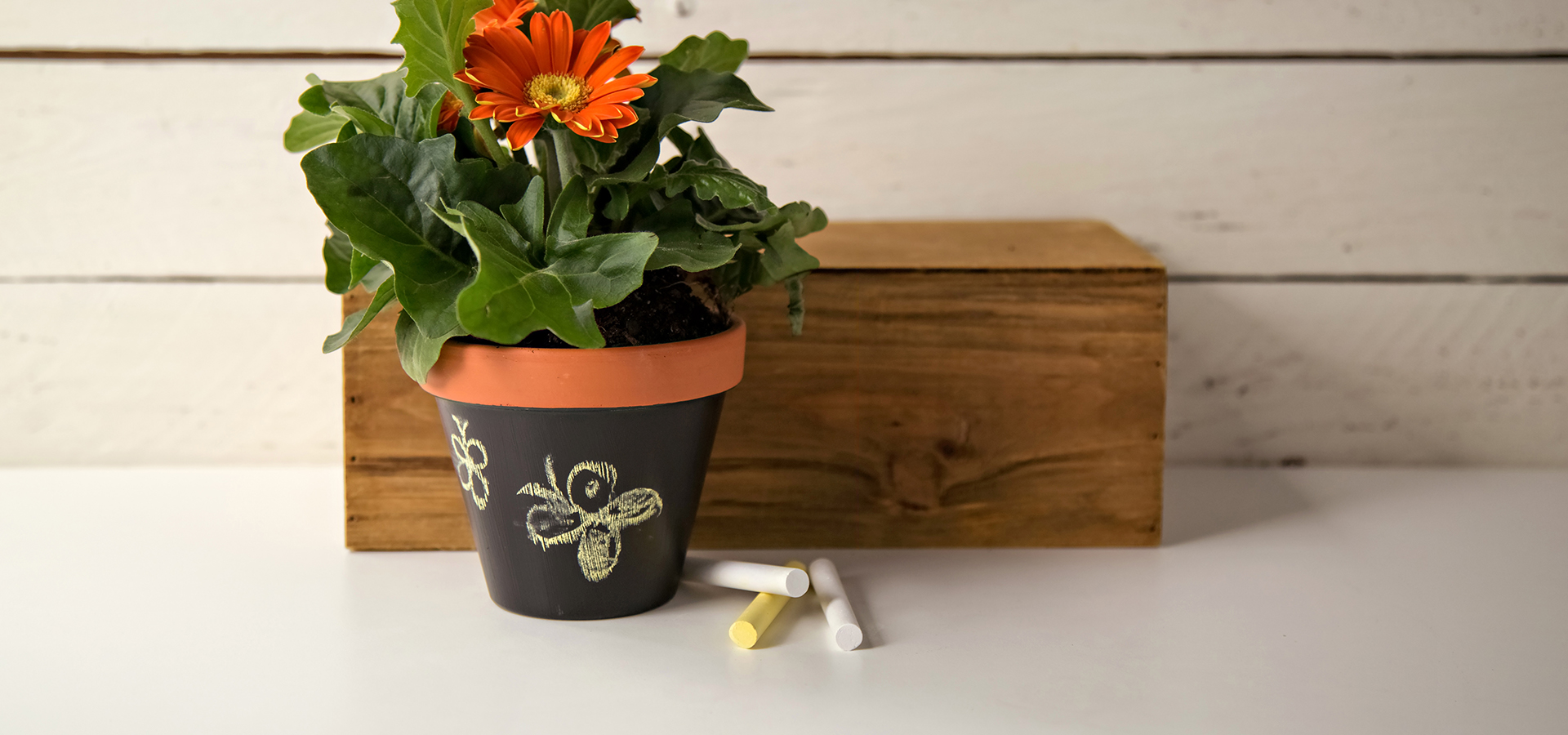 Clay pot craft ideas with a chalkboard-painted terracotta pot with chalk drawings and chalk sticks beside it