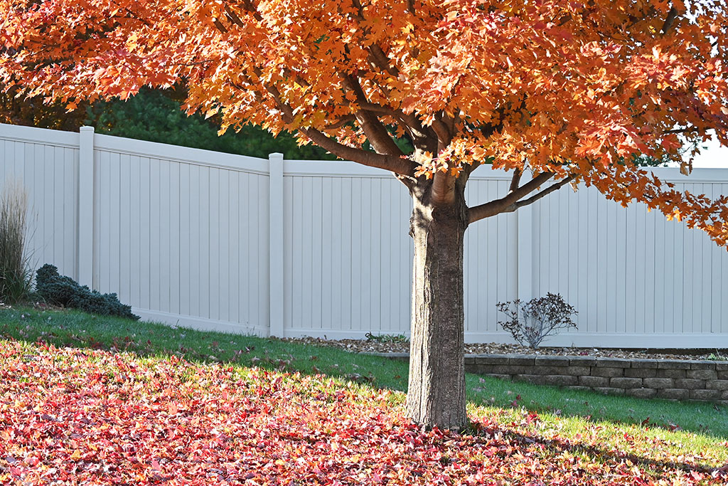 Privacy Fence