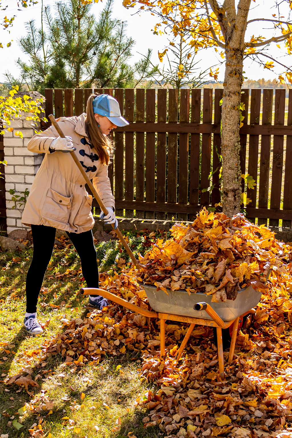 Woman racking fall leaves