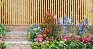 Backyard fence and flowers