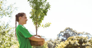 Women carrying tree to plant outside