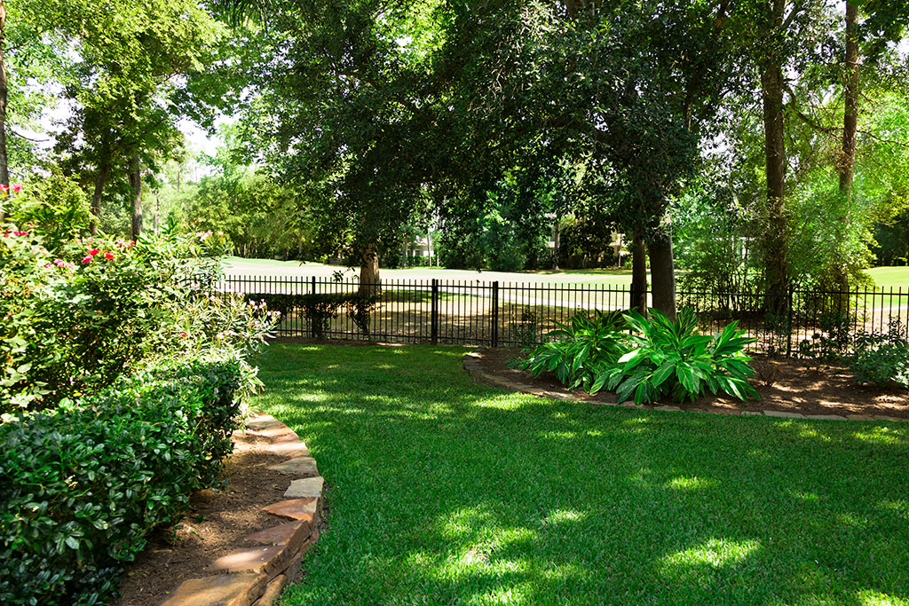 Shade in yard