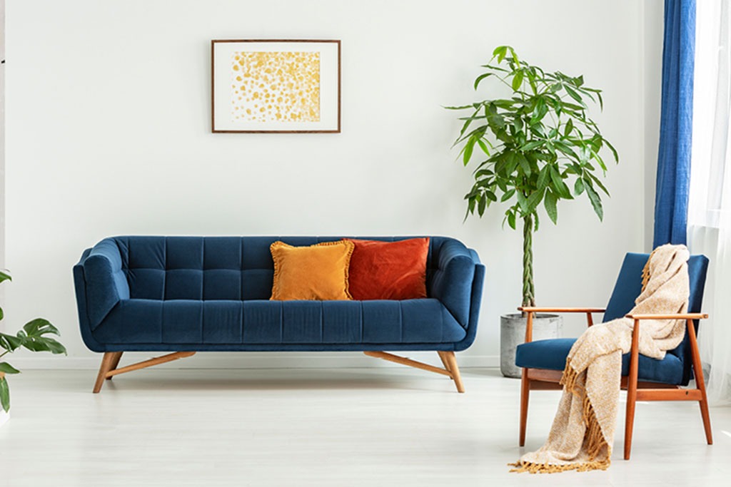 Living room with colorful navy blue couch