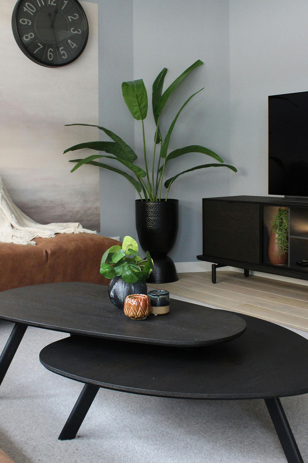 Living room with plants