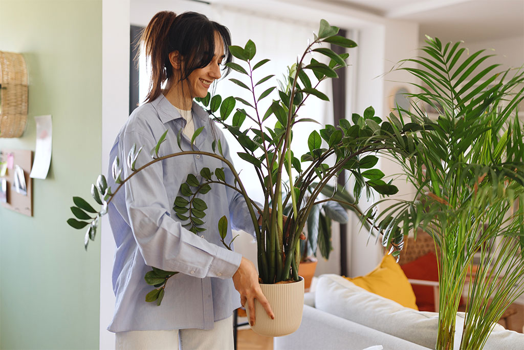 Woman moving plants inside house