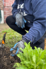 Person gardening