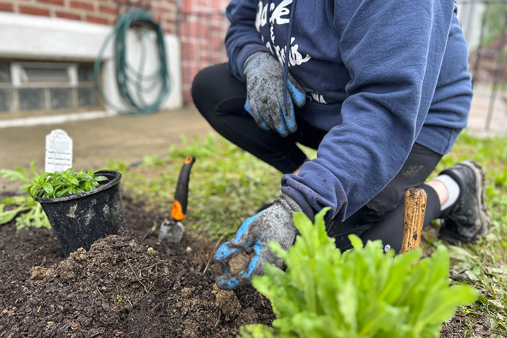 Person gardening