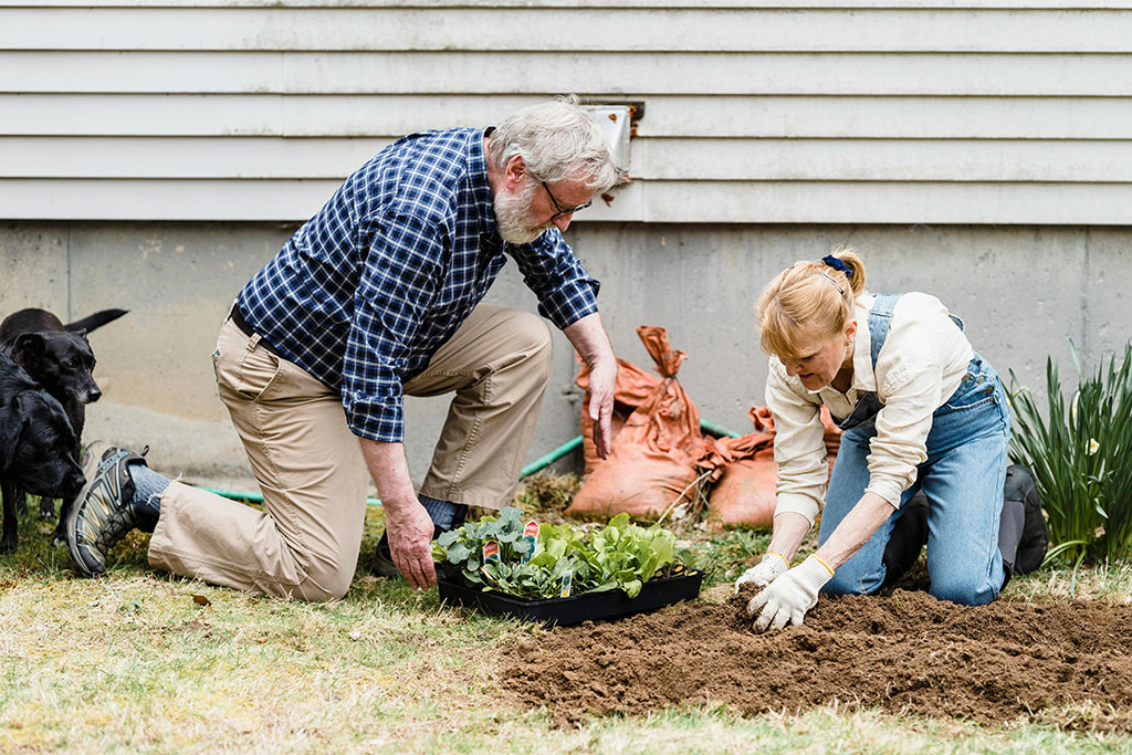 Older couple planting flowers