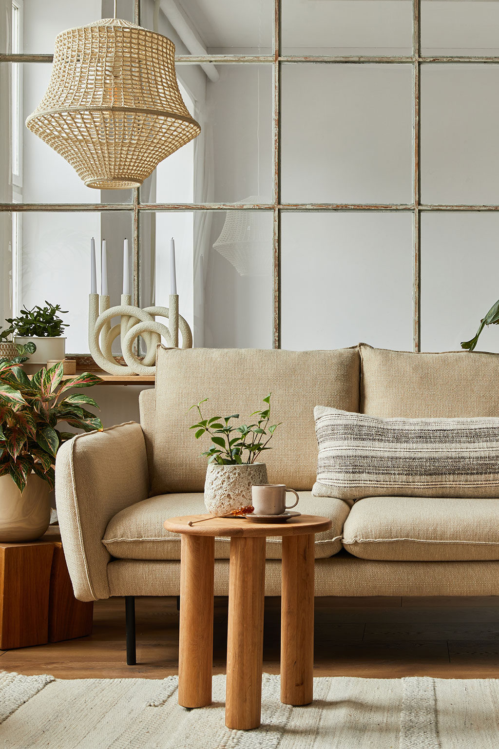 House plants in living room