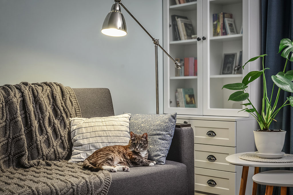 Floor lamp in living room