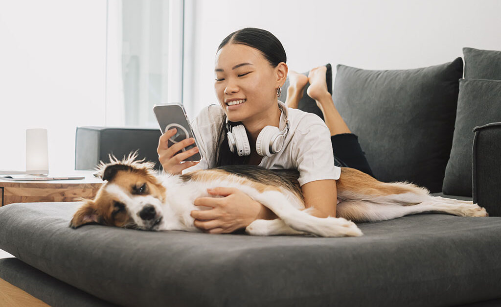 Dog on couch with owner on phone