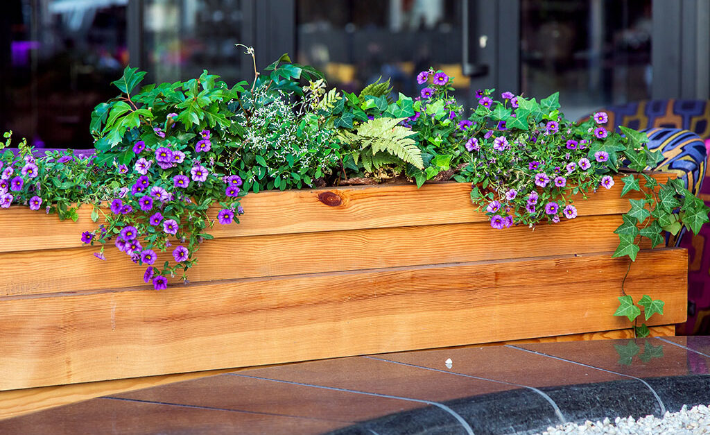 Container garden