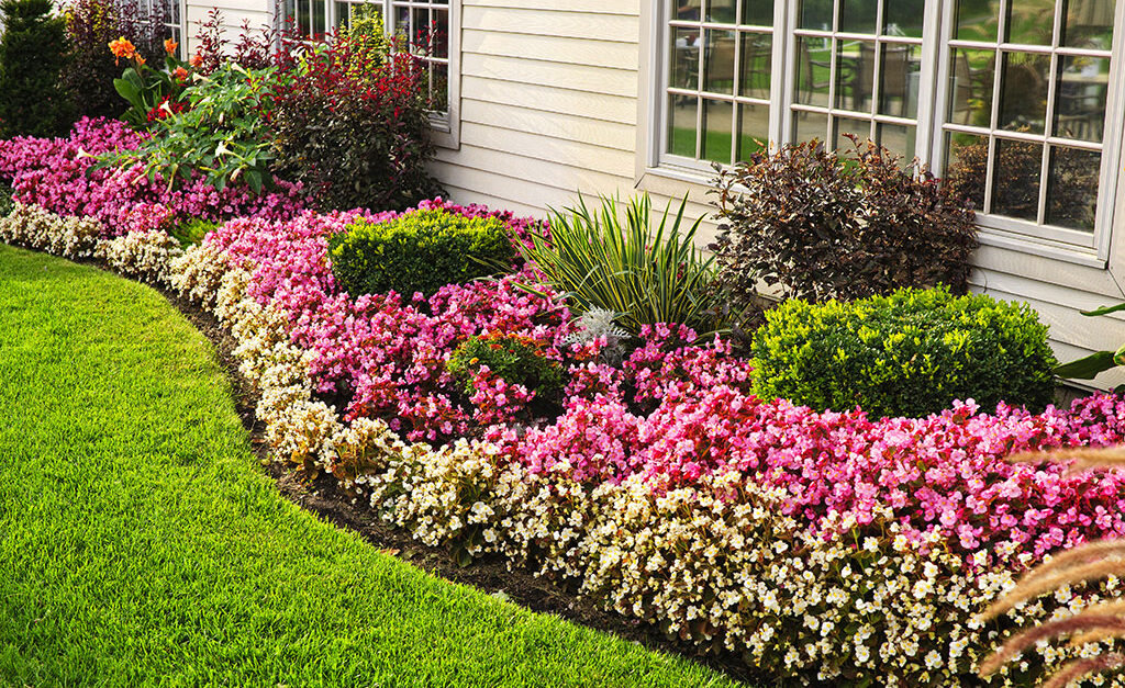 Landscape in yard