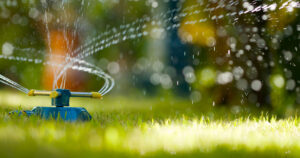 Water sprinkler