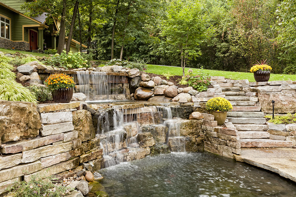 Water garden