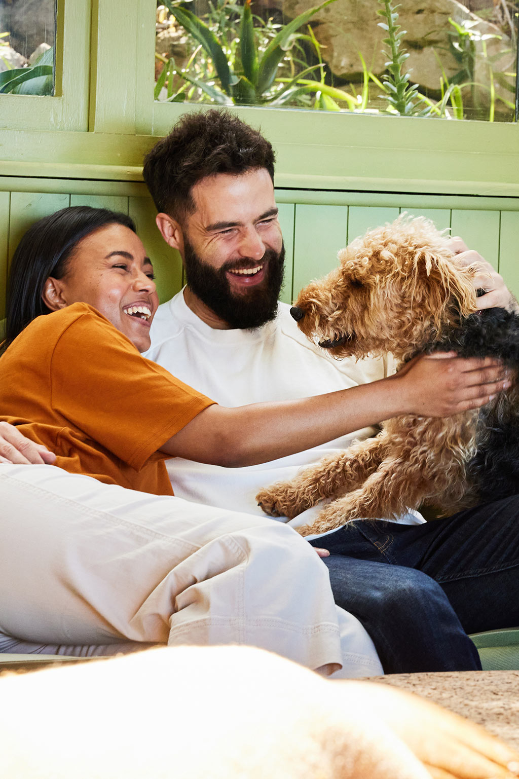 Couple petting dog on couch
