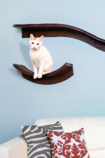Cats on cat furniture