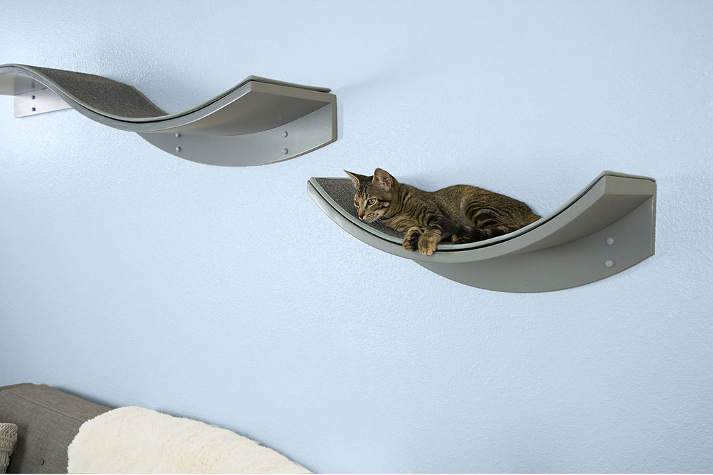 Cats on cat furniture