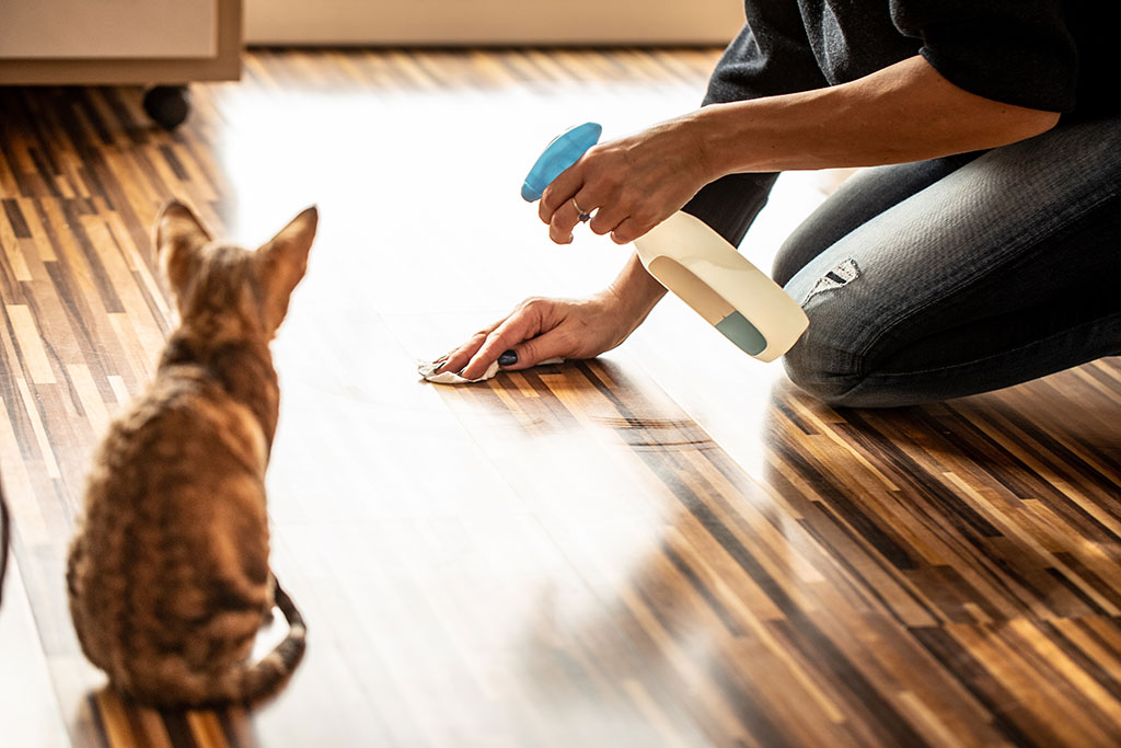 Cleaning up pet pee