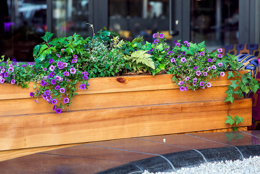 Plant container