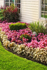 Landscaped front yard
