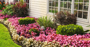 Landscaped front yard