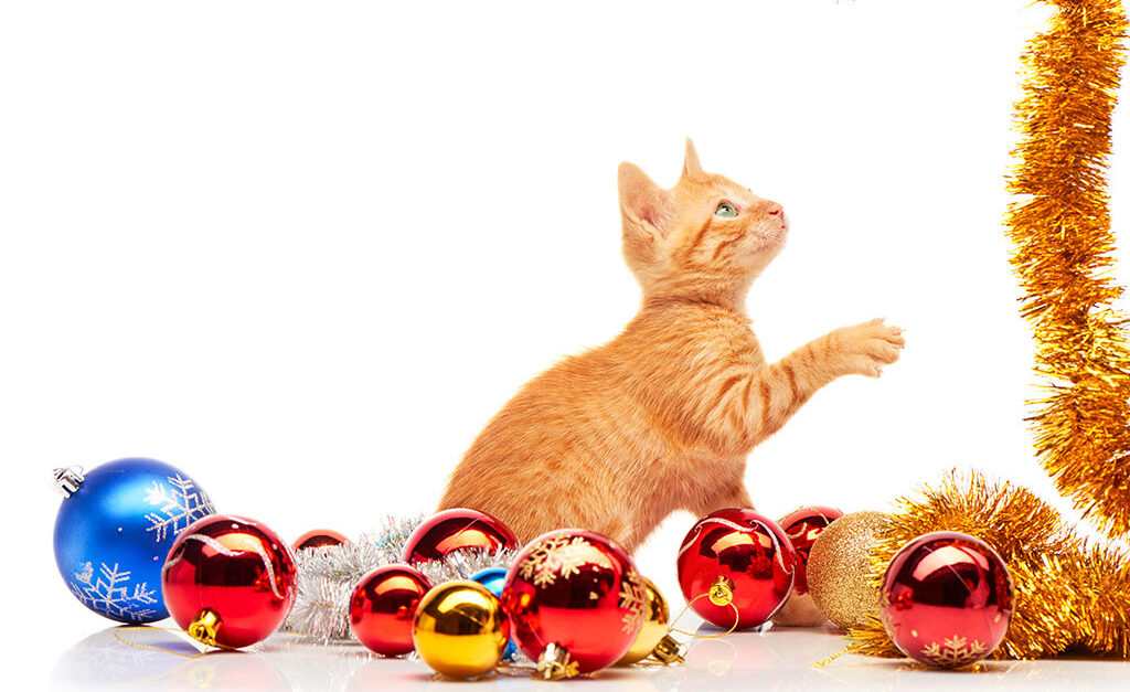 Cat playing with christmas decor
