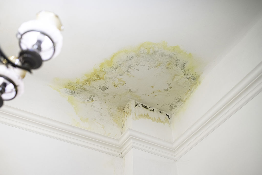 Leak in home on ceiling