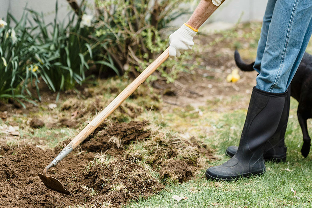 Person gardening