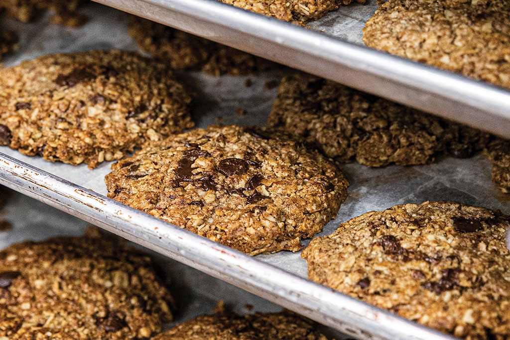 Vegan Oatmeal Raisin Cookies